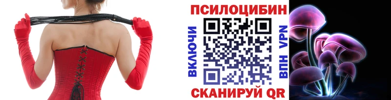 Купить где Кореновск Псилоцибиновые грибы Psilocybine cubensis
